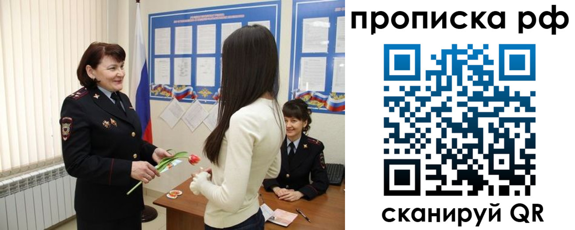 прописка поиск в Вологодской области